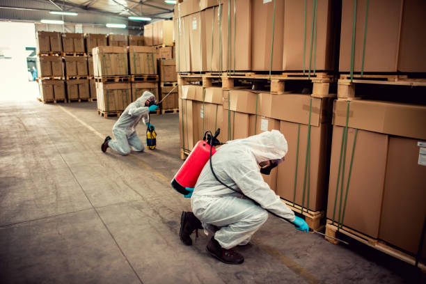 Best Pest Inspection Near Me  in Hewlett Harbor, NY