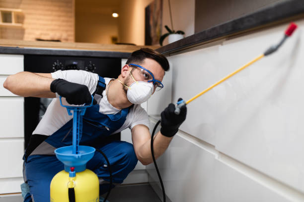 Best Pest Prevention Services  in Hewlett Harbor, NY