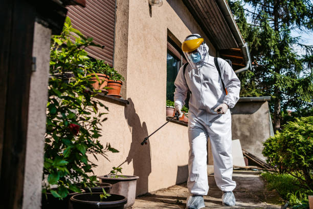 Best Best Pest Control Companies  in Hewlett Harbor, NY