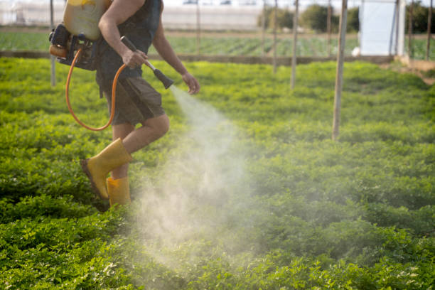 Best Pest Prevention Services  in Hewlett Harbor, NY