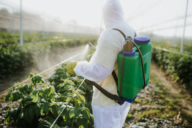 Best Residential Pest Control  in Hewlett Harbor, NY